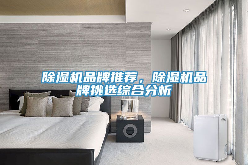 除濕機品牌推薦，除濕機品牌挑選綜合分析
