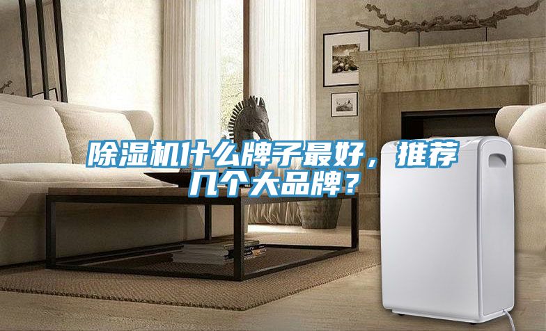 除濕機什么牌子最好，推薦幾個大品牌？