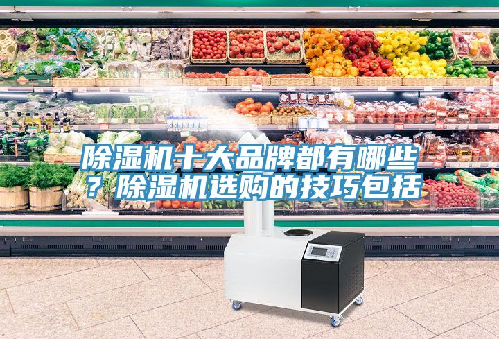 除濕機(jī)十大品牌都有哪些？除濕機(jī)選購的技巧包括