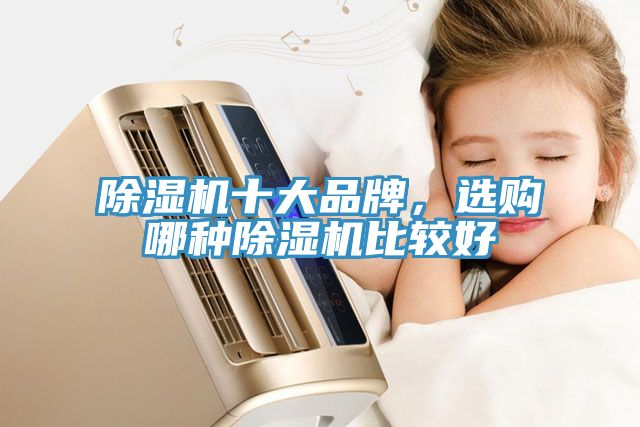 除濕機(jī)十大品牌，選購哪種除濕機(jī)比較好