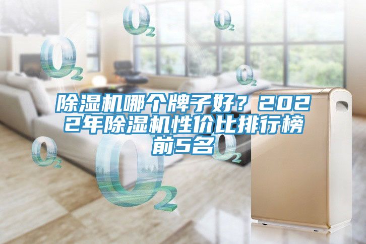 除濕機(jī)哪個(gè)牌子好？2022年除濕機(jī)性價(jià)比排行榜前5名