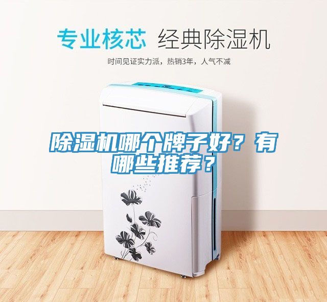 除濕機(jī)哪個(gè)牌子好？有哪些推薦？