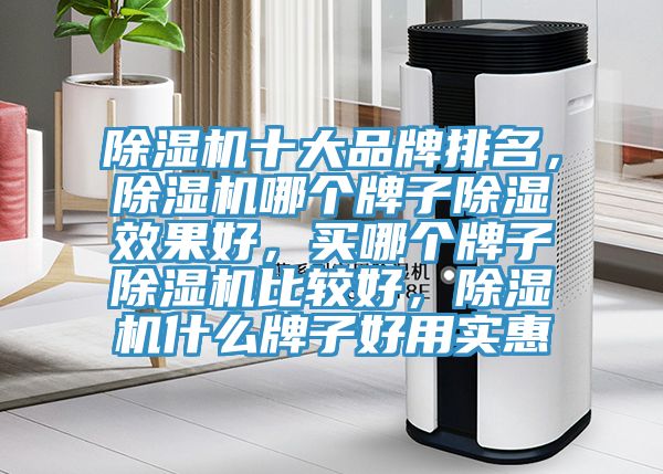 除濕機(jī)十大品牌排名，除濕機(jī)哪個牌子除濕效果好，買哪個牌子除濕機(jī)比較好，除濕機(jī)什么牌子好用實惠
