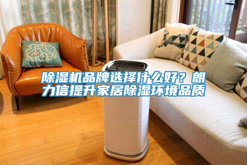 除濕機品牌選擇什么好？朗力信提升家居除濕環(huán)境品質