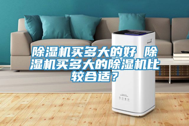 除濕機(jī)買(mǎi)多大的好 除濕機(jī)買(mǎi)多大的除濕機(jī)比較合適？