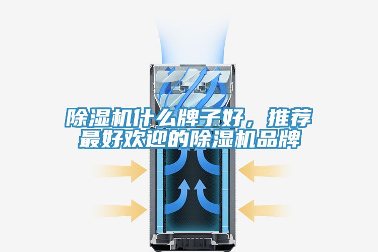 除濕機什么牌子好，推薦最好歡迎的除濕機品牌