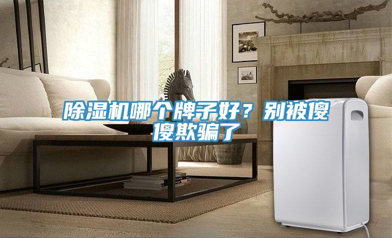 除濕機(jī)哪個(gè)牌子好？別被傻傻欺騙了