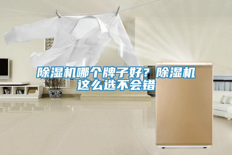 除濕機(jī)哪個(gè)牌子好？除濕機(jī)這么選不會(huì)錯(cuò)