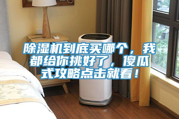 除濕機(jī)到底買哪個，我都給你挑好了，傻瓜式攻略點(diǎn)擊就看！