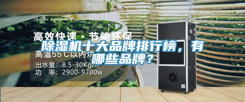 除濕機(jī)十大品牌排行榜，有哪些品牌？