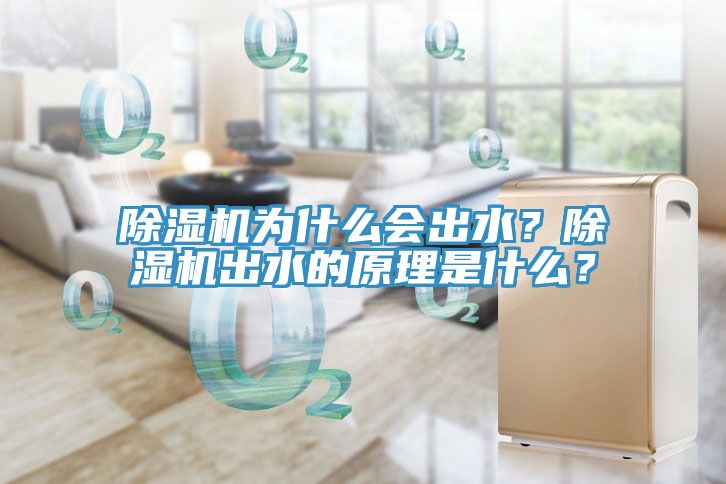 除濕機(jī)為什么會(huì)出水？除濕機(jī)出水的原理是什么？