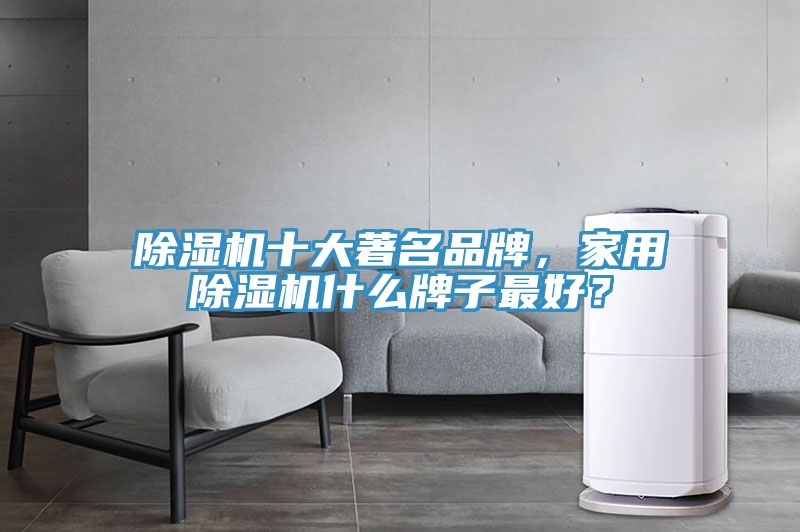 除濕機(jī)十大著名品牌，家用除濕機(jī)什么牌子最好？