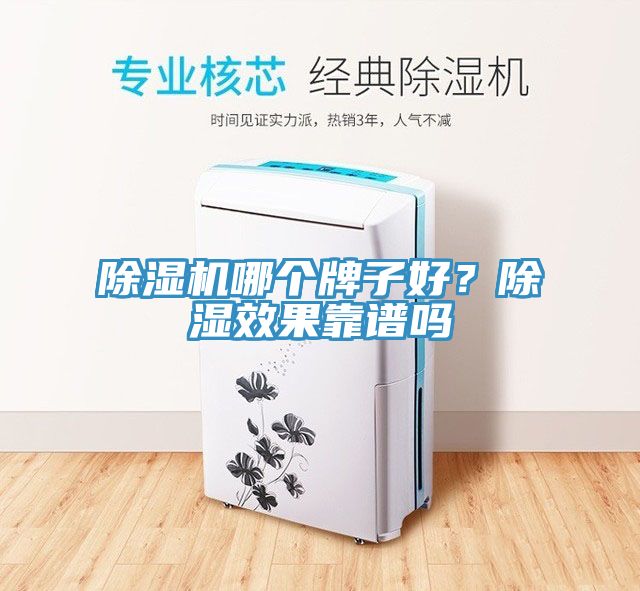 除濕機(jī)哪個(gè)牌子好？除濕效果靠譜嗎