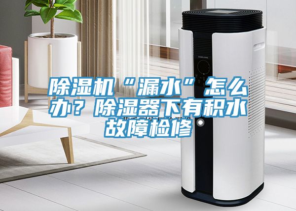 除濕機“漏水”怎么辦？除濕器下有積水故障檢修