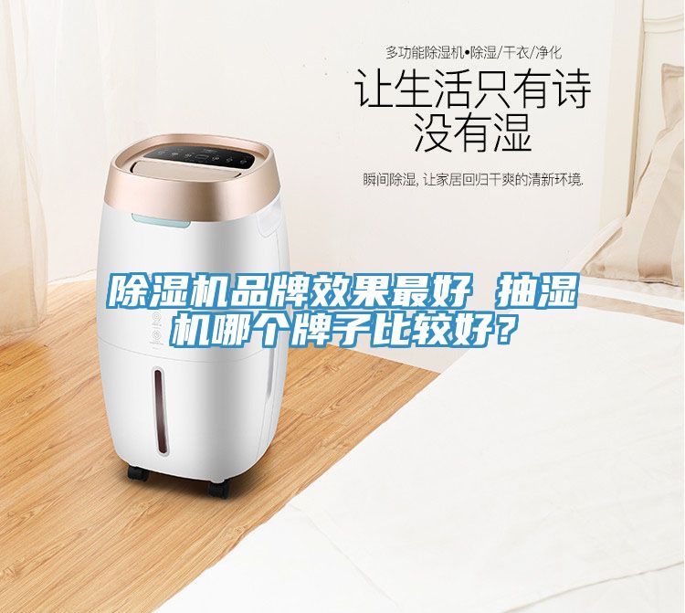除濕機品牌效果最好 抽濕機哪個牌子比較好？