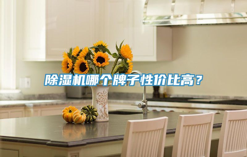 除濕機(jī)哪個(gè)牌子性價(jià)比高？