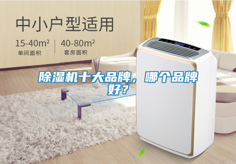 除濕機(jī)十大品牌，哪個(gè)品牌好？