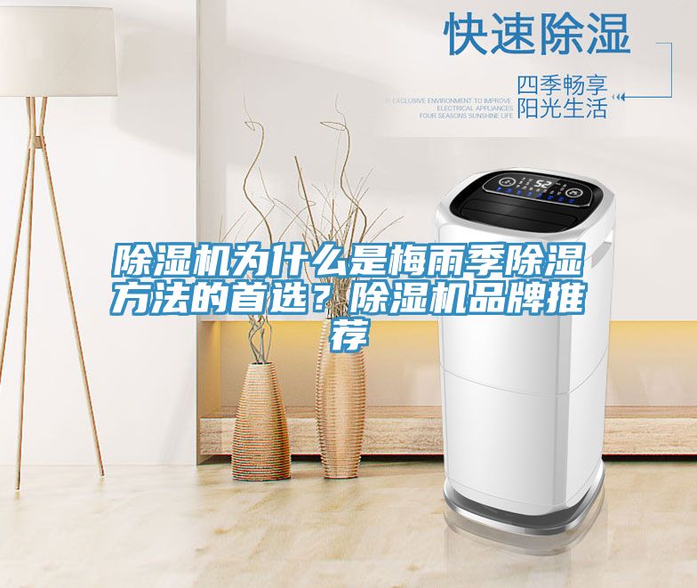 除濕機為什么是梅雨季除濕方法的首選？除濕機品牌推薦