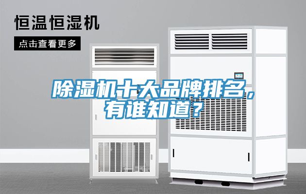 除濕機(jī)十大品牌排名，有誰知道？