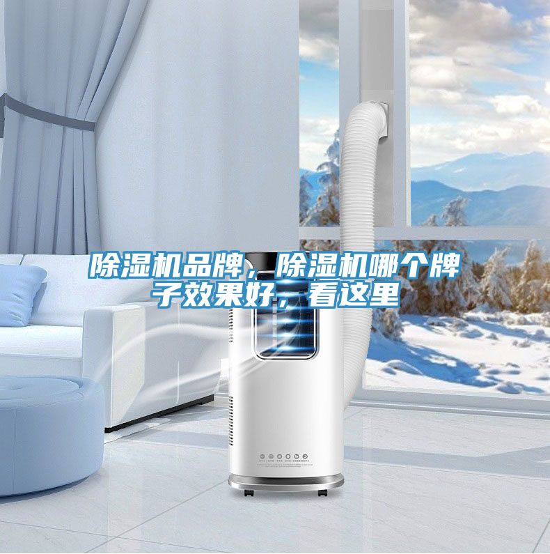 除濕機品牌，除濕機哪個牌子效果好，看這里