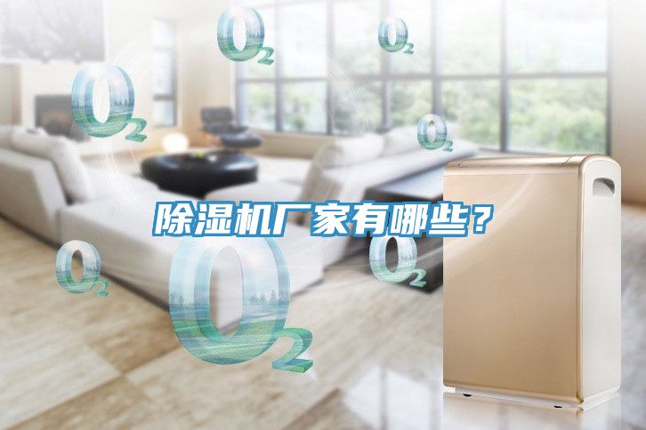 除濕機(jī)廠家有哪些？