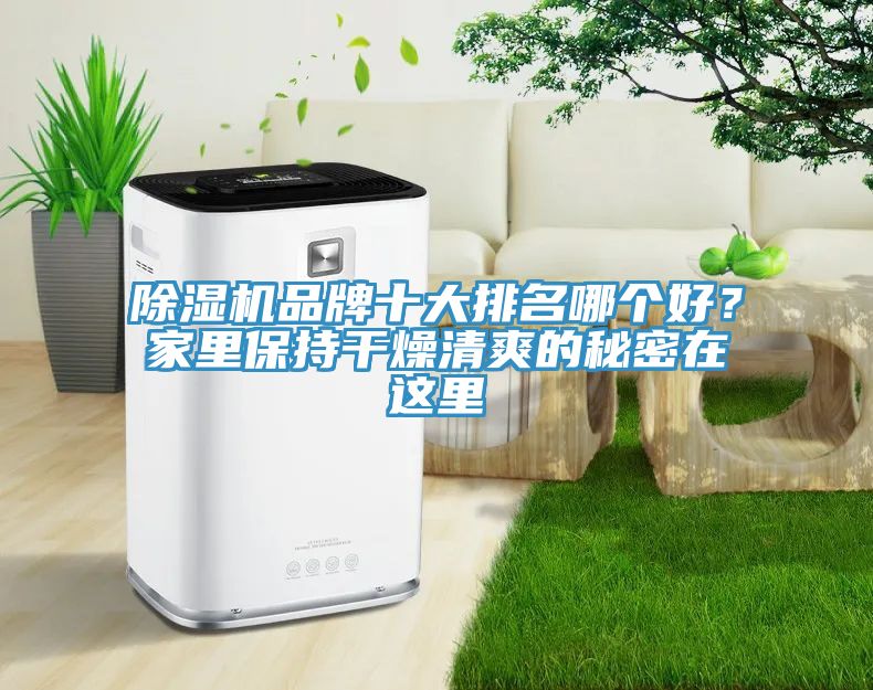 除濕機(jī)品牌十大排名哪個(gè)好？家里保持干燥清爽的秘密在這里