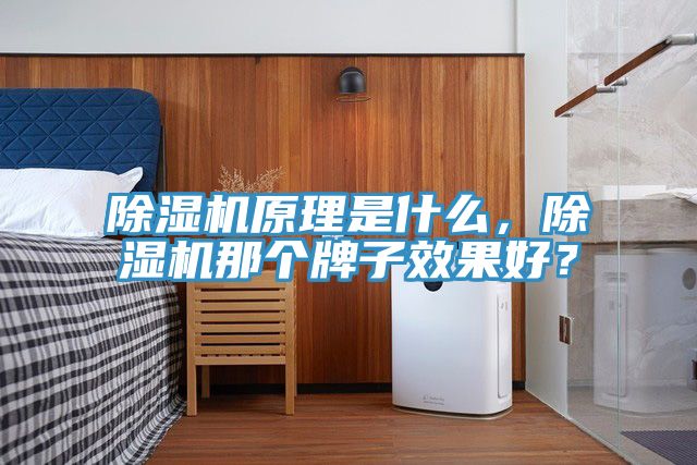 除濕機(jī)原理是什么，除濕機(jī)那個牌子效果好？