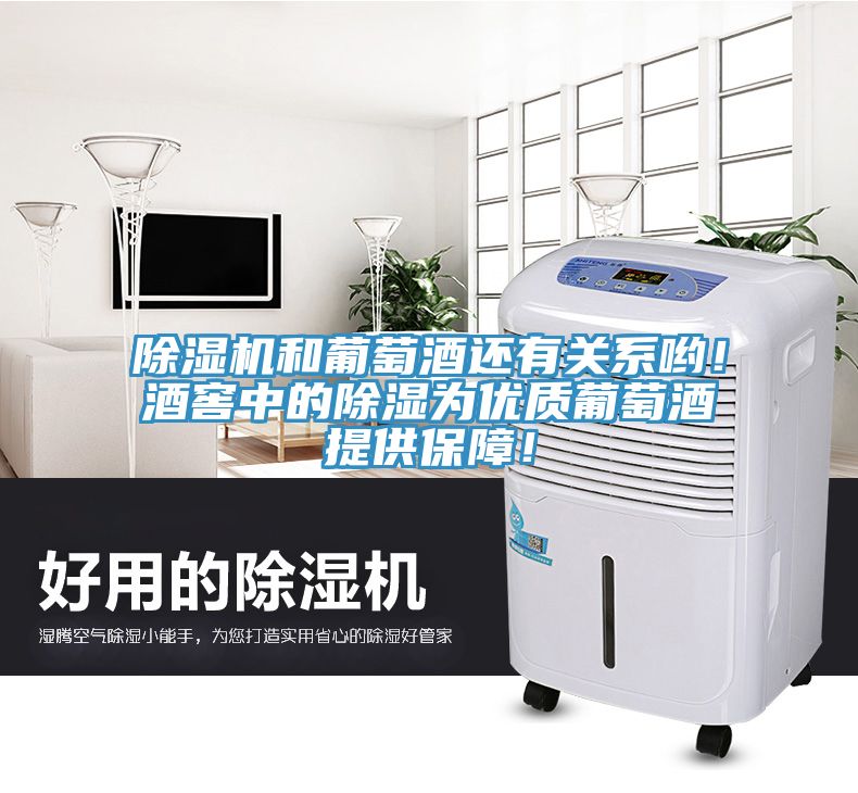 除濕機(jī)和葡萄酒還有關(guān)系喲！酒窖中的除濕為優(yōu)質(zhì)葡萄酒提供保障！