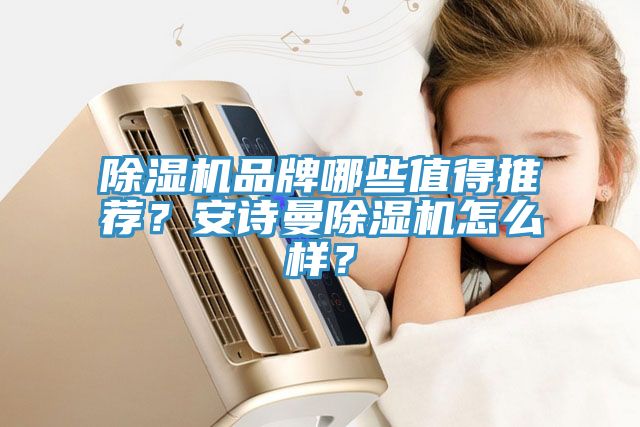 除濕機品牌哪些值得推薦？安詩曼除濕機怎么樣？