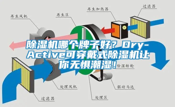 除濕機(jī)哪個(gè)牌子好？Dry-Active可穿戴式除濕機(jī)讓你無(wú)懼潮濕！