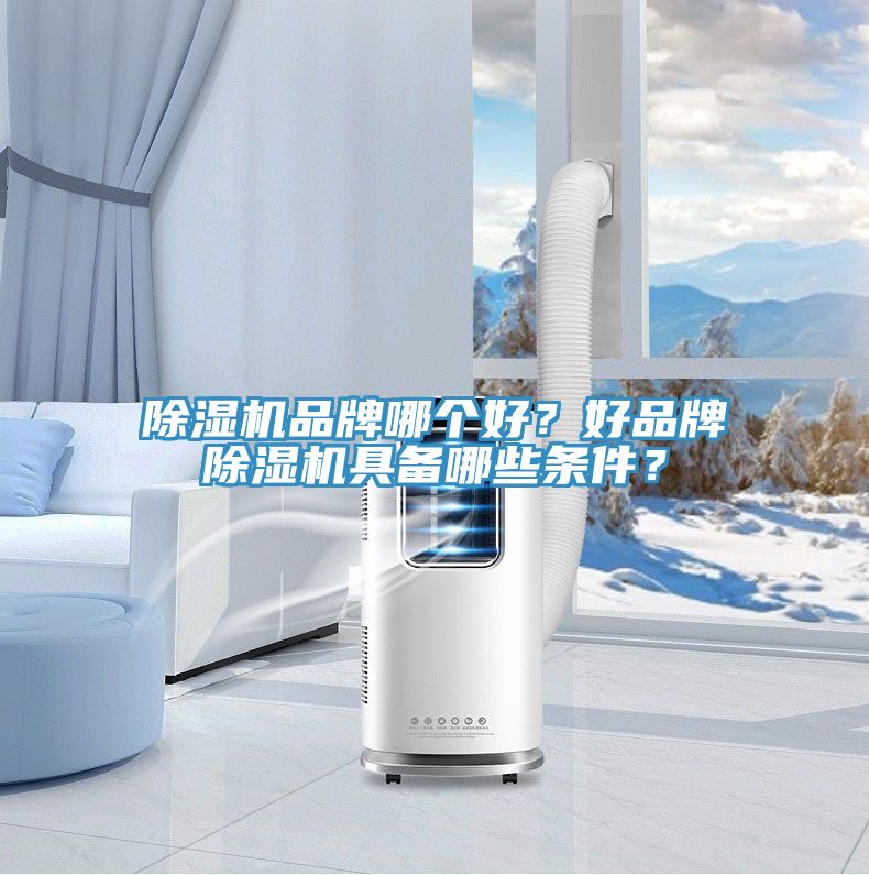 除濕機品牌哪個好？好品牌除濕機具備哪些條件？