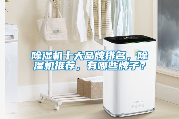 除濕機(jī)十大品牌排名，除濕機(jī)推薦，有哪些牌子？