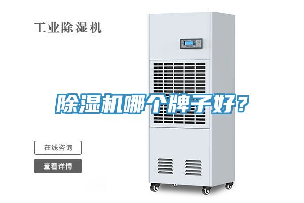 除濕機(jī)哪個(gè)牌子好？