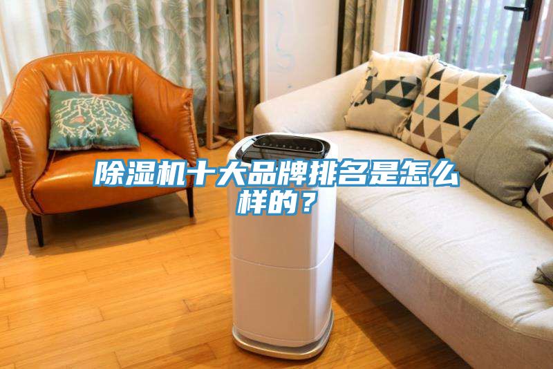 除濕機十大品牌排名是怎么樣的？