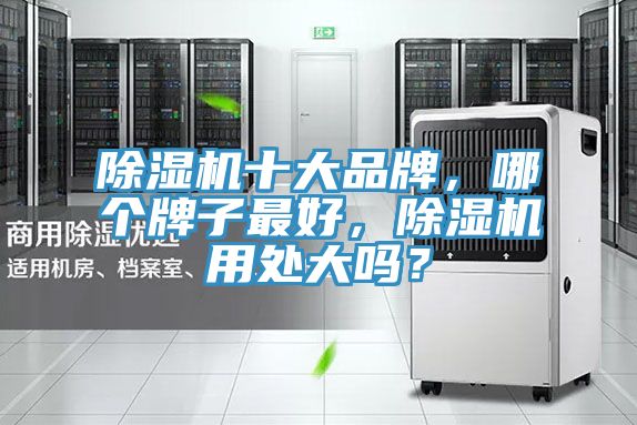 除濕機(jī)十大品牌，哪個(gè)牌子最好，除濕機(jī)用處大嗎？