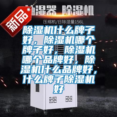 除濕機什么牌子好，除濕機哪個牌子好，除濕機哪個品牌好，除濕機什么品牌好，什么牌子除濕機好