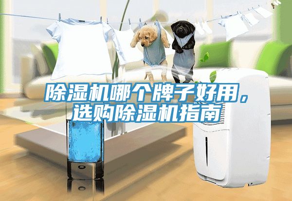 除濕機(jī)哪個牌子好用，選購除濕機(jī)指南