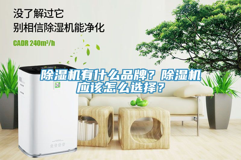 除濕機有什么品牌？除濕機應該怎么選擇？