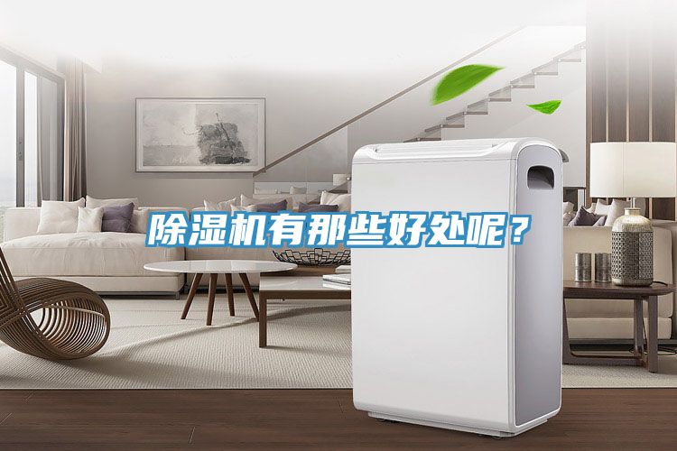 除濕機(jī)有那些好處呢？