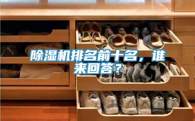 除濕機排名前十名，誰來回答？