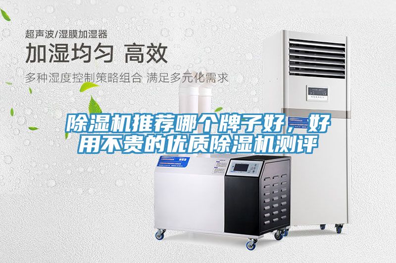 除濕機(jī)推薦哪個牌子好，好用不貴的優(yōu)質(zhì)除濕機(jī)測評