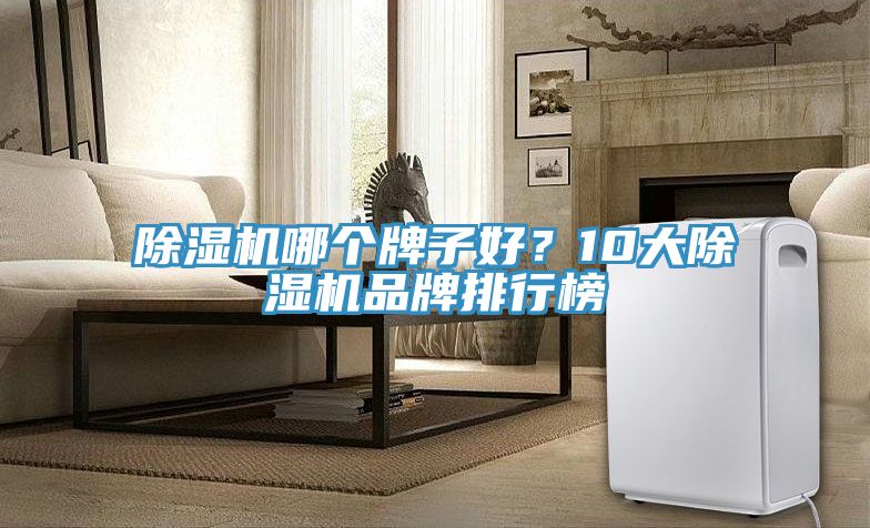 除濕機(jī)哪個(gè)牌子好？10大除濕機(jī)品牌排行榜