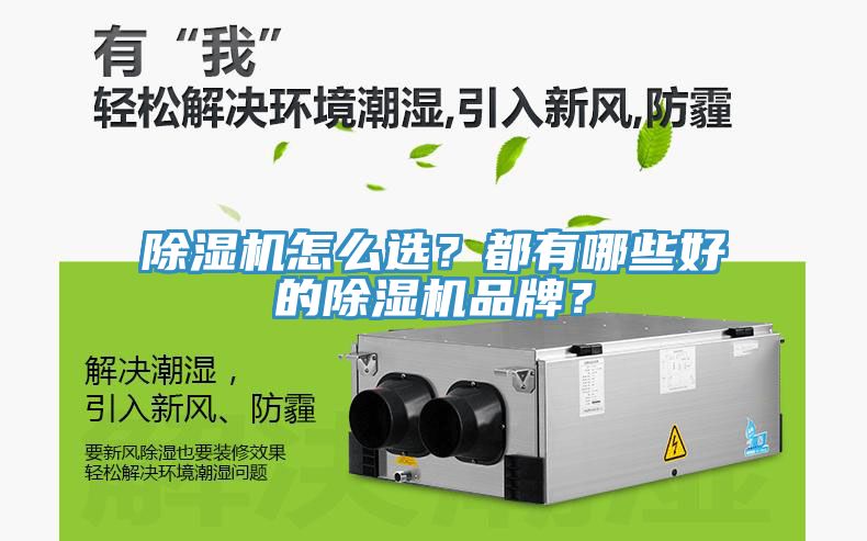 除濕機怎么選？都有哪些好的除濕機品牌？