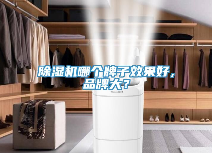 除濕機(jī)哪個(gè)牌子效果好，品牌大？