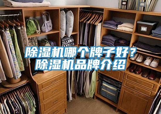 除濕機(jī)哪個(gè)牌子好？除濕機(jī)品牌介紹