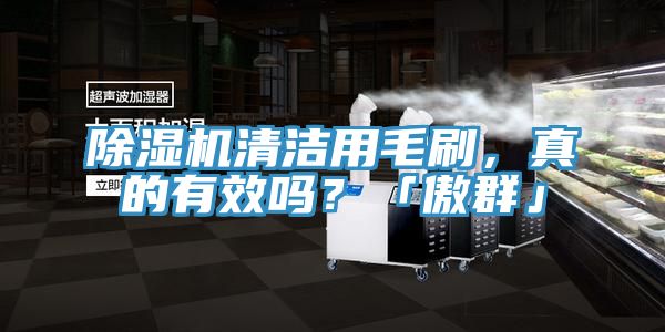 除濕機(jī)清潔用毛刷，真的有效嗎？「傲群」