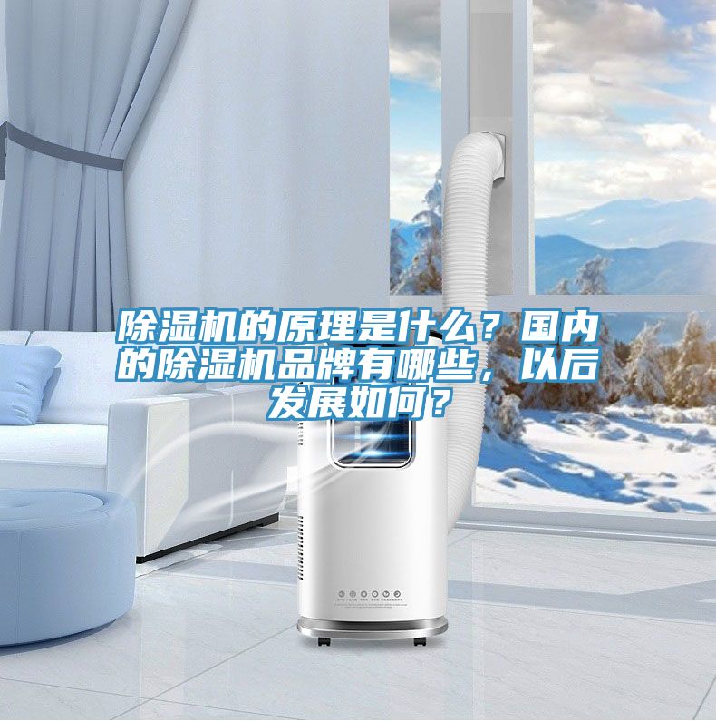 除濕機(jī)的原理是什么？國(guó)內(nèi)的除濕機(jī)品牌有哪些，以后發(fā)展如何？