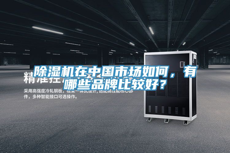 除濕機在中國市場如何，有哪些品牌比較好？