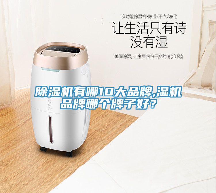 除濕機有哪10大品牌,濕機品牌哪個牌子好？