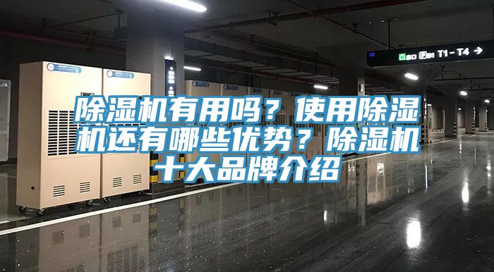 除濕機有用嗎？使用除濕機還有哪些優(yōu)勢？除濕機十大品牌介紹